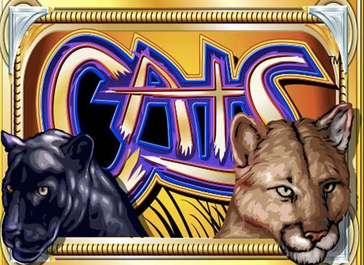 Cats Play in Demo Mode – Free