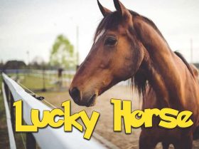 Lucky Horse